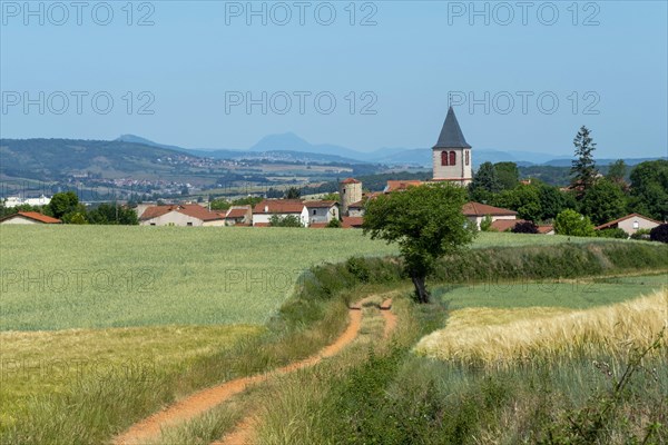 Bournoncle Saint-Pierre village near Brioude city. Haute Loire departement. Auvergne Rhone Alpes. France