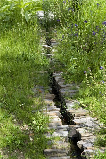 Stone-sided water feature in the herb garden