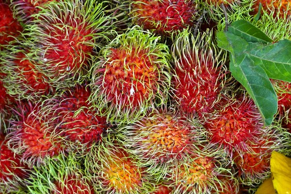 Rambutan