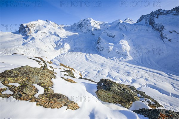 Monte Rosa