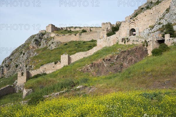 Fortress