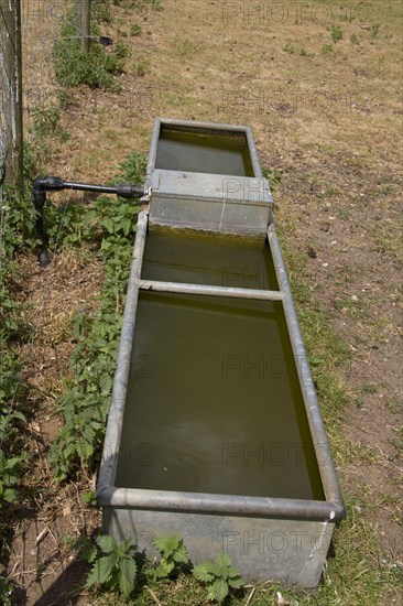 Water trough