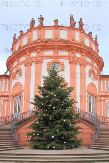 Castle with Christmas tree in Biebrich