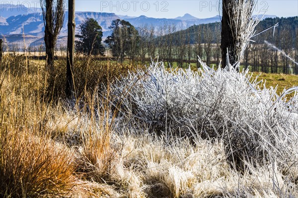 Winter in Ukhahlamba-Drakensberg Park