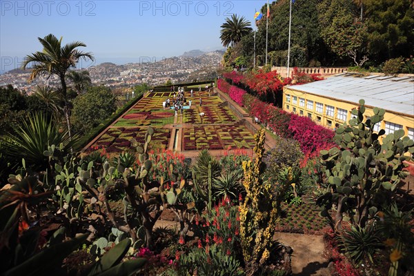 Funchal