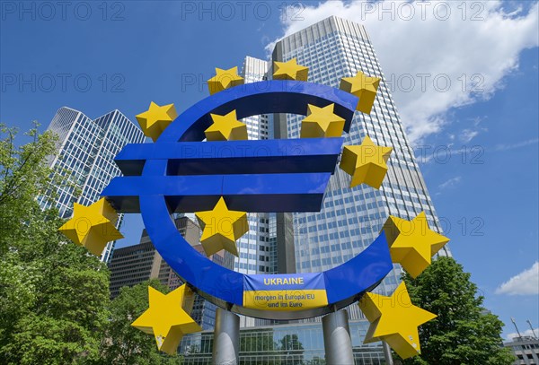 Euro Logo