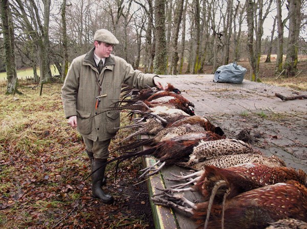 Gamekeeper counting bag with shot pheasant