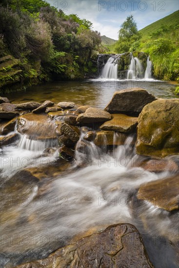 Water cascades over rocks in bog habitat