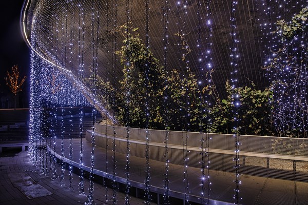 Decorated Park with lights in the evening