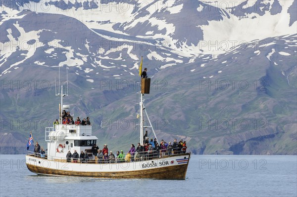 Commercial whale watching boat at sea