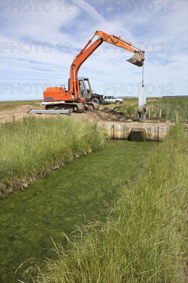 Metal piles for the construction of a sluice gate for water retention at Deepdale Marsh