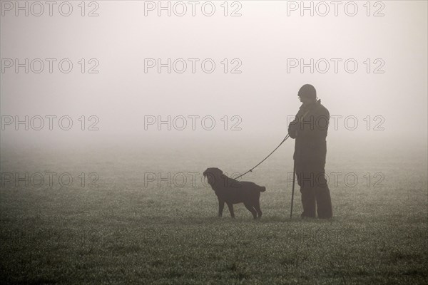 Picker stands in the field with trained dog waiting for pheasant shooting to begin