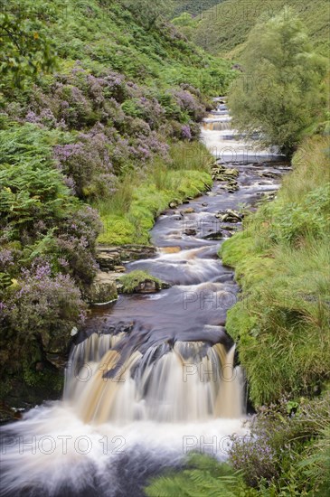 View of cascading stream and waterfall