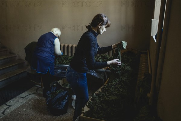 Women and young people tie camouflage nets in the youth and children's library