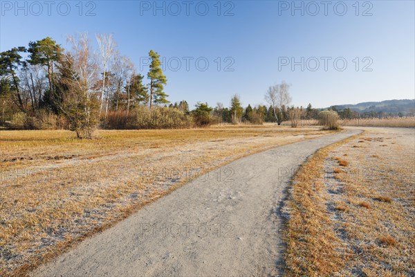 Ertse Sonnenstrahlen beleuchten den Feldweg im Naturschutzgebiet entlang des Pfaeffikersees im Kanton Zuerich