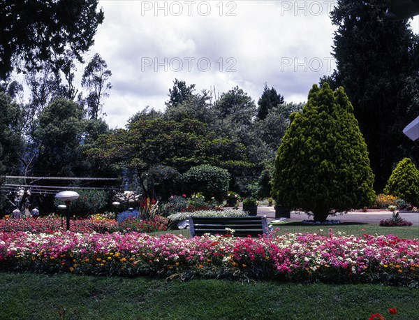 House garden in Udhagamandalam or Ooty