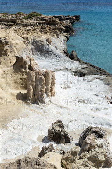 Petrified forest near Agia Maria