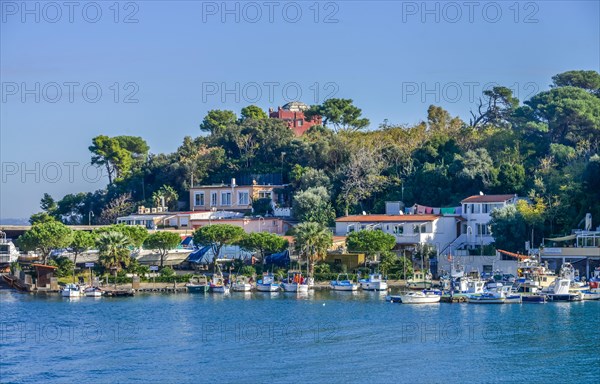 Fishing boats