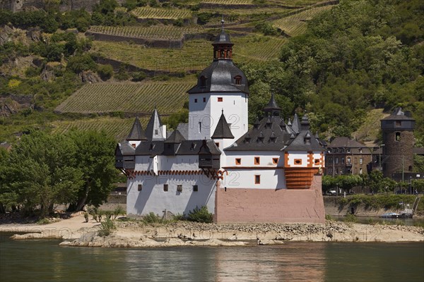 Pfalzgrafenstein Castle