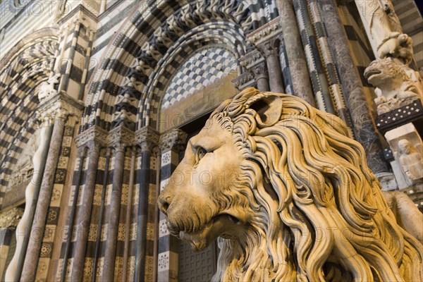 Lion statue in front of the cathedral in the city at night