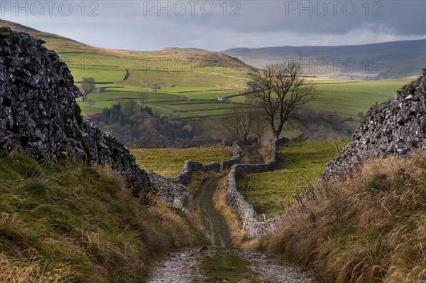 Bridleway meanders between dry stone walls in upland farmland