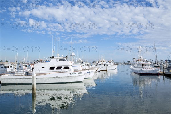 Docked boats at Shelter island Marina in Point Loma