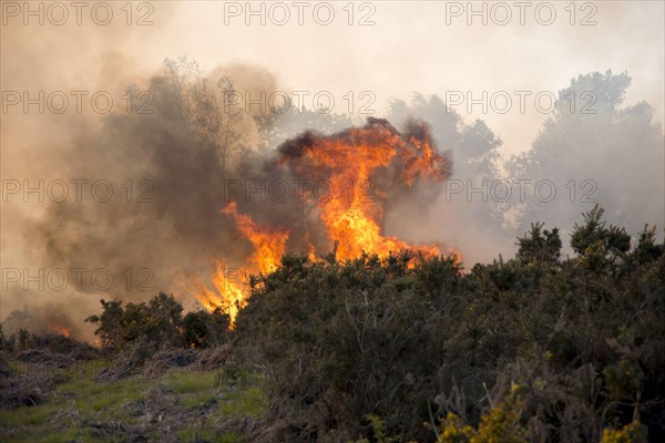 Fire on heathland