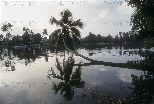 Backwaters of Kodungallur in kerala