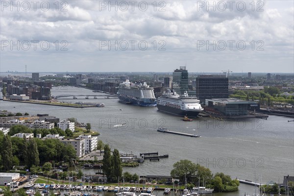 Cruise ships