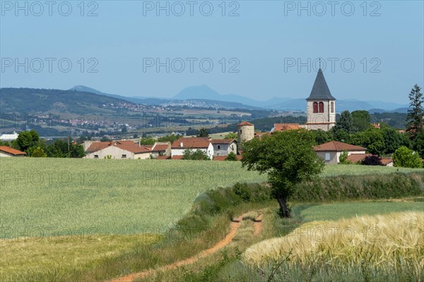 Bournoncle Saint-Pierre village near Brioude city. Haute Loire departement. Auvergne Rhone Alpes. France