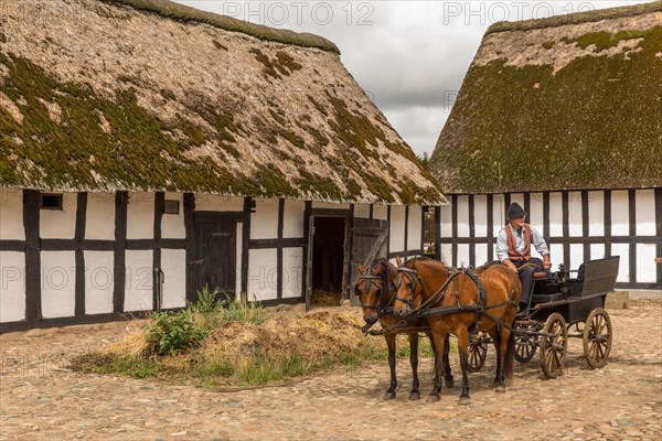 Farmhouse with horse-drawn carriage at Hjerl Hede Open Air Museum