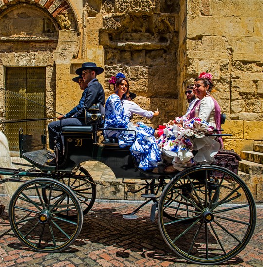 Horse-drawn carriage to the folk festival