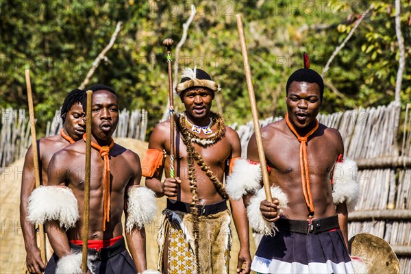 Insights into the lives of the Swazis