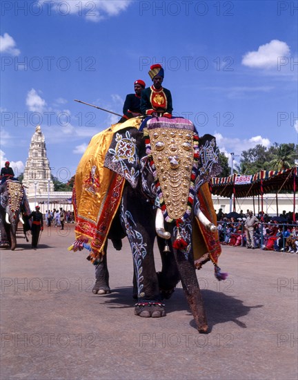 Decorated elephant at Dussera festival in Mysuru