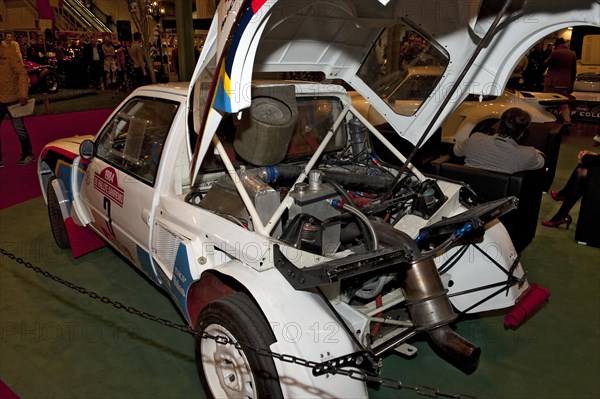 Rally Peugeot 205 T16