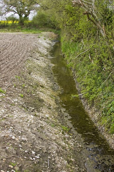 Recently cleared drainage ditch