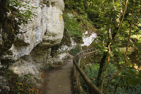 Wanderweg im Fuerstlichen Park Inzigkofen