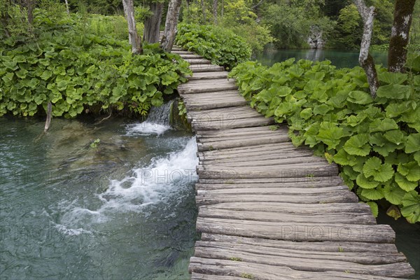 Wooden footbridge on the shore of the lake