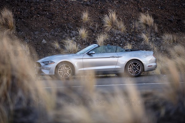 Ford Mustang Convertible