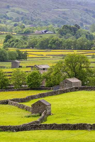 View of dry stone walls