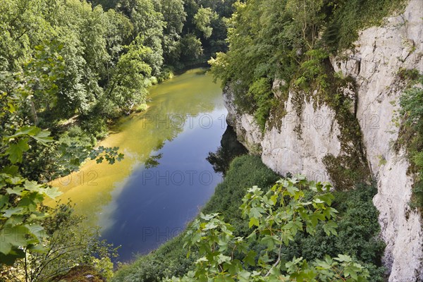 Fuerstlicher Park Inzigkofen