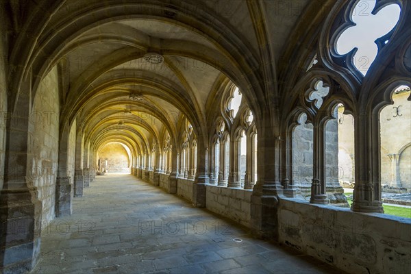 Cloister of Saint Robert abbaye of la Chaise Dieu. Haute Loire department. Auvergne Rhone Alpes. France