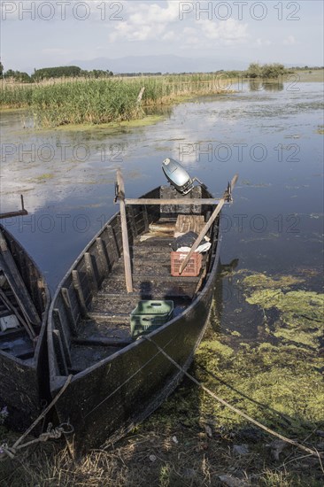 Fishing boat at the edge of Lake Kerkini. Northern Greece