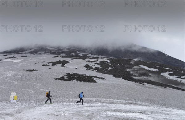 Skier