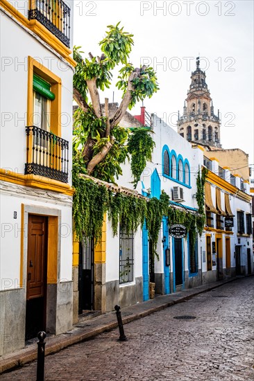 Old Town alleys of Cordoba