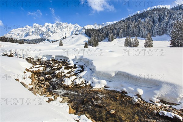 Alpsteinmassiv mit Saentis