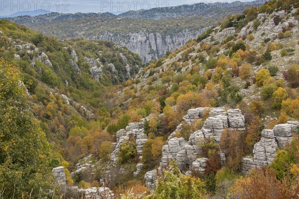 Limestone pinnacles and trees in autumn colour