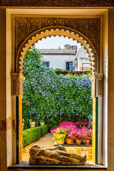 Garden with exotic plants