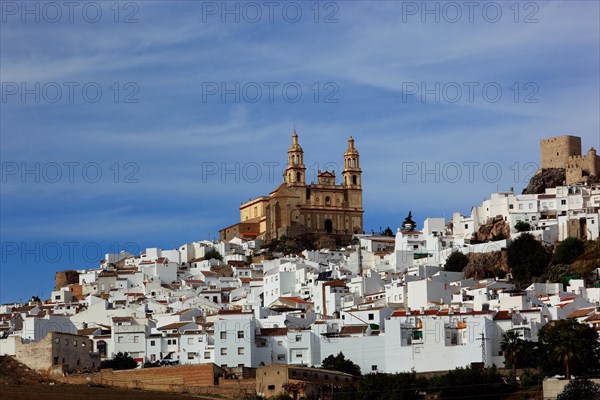 Municipality of Olvera in the province of Cadiz