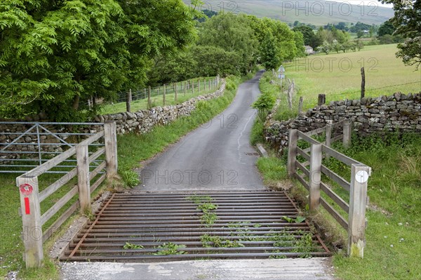 Cattle grid on narrow country road